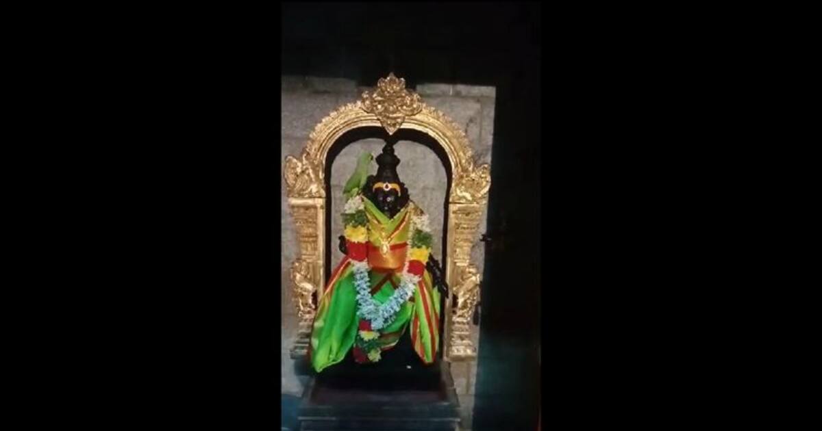 மதுரையில் மீனாட்சி அம்மன் சிலை மீது அமர்ந்து அம்மனை கொஞ்சி மகிழ்ந்த பச்சை கிளி; பக்தர்கள் பரவசம்