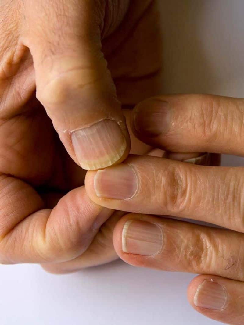Natural Nails Extension Fake Nails Transparent Nail Tips Short Square Nails  H L | eBay