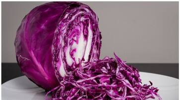 purple cabbage benefits and how to use it-rse- purple cabbage benefits and how to use it-rse-