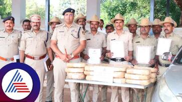Big operation by Bidar Police Marijuana worth 47 lakh seized rav Big operation by Bidar Police Marijuana worth 47 lakh seized rav