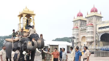 Dhananjaya trains for carrying a wooden howdah snr Dhananjaya trains for carrying a wooden howdah snr