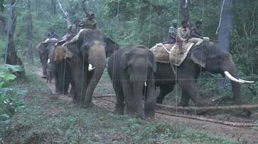 Environmentalists Strongly Opposed the Muthodi Elephant Camp in Chikkamagaluru grg Environmentalists Strongly Opposed the Muthodi Elephant Camp in Chikkamagaluru grg