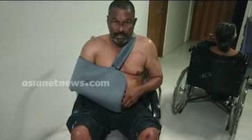 wild boar attack couples injured kgn wild boar attack couples injured kgn