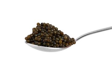 One of the most expensive luxury foods in the world is a fish eggs bkg One of the most expensive luxury foods in the world is a fish eggs bkg