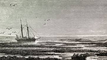 19th century boat was found during road construction at Florida bkg 19th century boat was found during road construction at Florida bkg