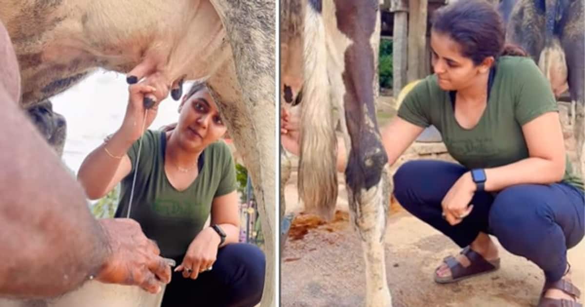 சீரியல் நடிகையின் சைடு பிசினஸ்.. பால்காரி ஆக மாறிய சைத்ரா ரெட்டி- தன் கையால் பால் கறந்து விற்கும் வீடியோ வைரல்