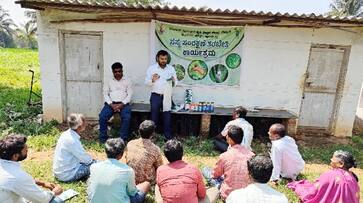 Suttur Nut borer control training in pea crop snr Suttur Nut borer control training in pea crop snr