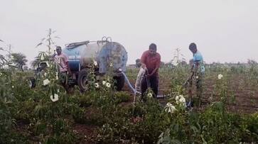 Farmer of Vijayapura who resorted to tanker water without rain gvd Farmer of Vijayapura who resorted to tanker water without rain gvd