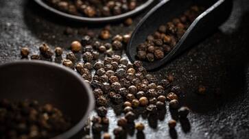 7 benefits of consuming black pepper azn 7 benefits of consuming black pepper azn