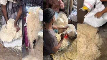 Viral video Of Noodle making process at factory is making the internet cringe azn Viral video Of Noodle making process at factory is making the internet cringe azn