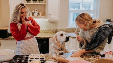 Navratri 2023: Special festive meals to keep your dog healthyRKK Navratri 2023: Special festive meals to keep your dog healthyRKK