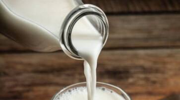Supply of Adulterated Milk in Belagavi From Maharashtra grg Supply of Adulterated Milk in Belagavi From Maharashtra grg
