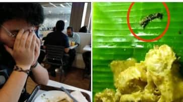 Food lovers shocked by insect found in popular Hotel Prota KAK Food lovers shocked by insect found in popular Hotel Prota KAK