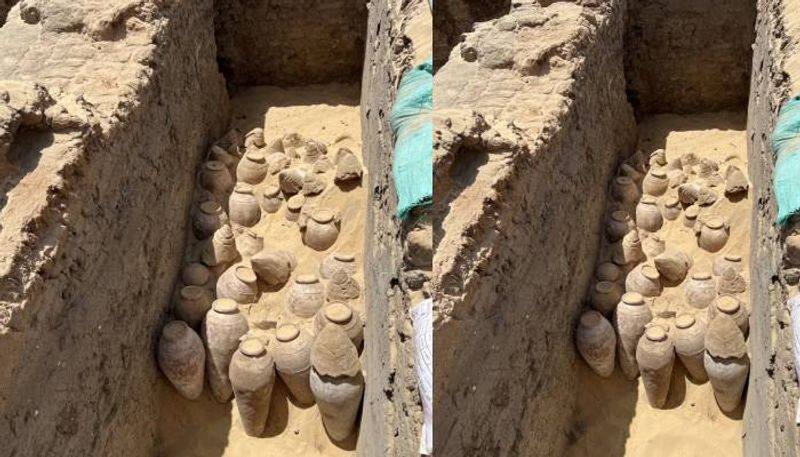 5000 year old wine found in Queen Meret Neith tomb Egypt rlp