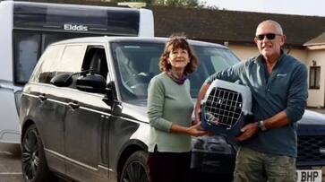 cat traveled with couple from Lincolnshire to south Devon to enjoy vacation rlp cat traveled with couple from Lincolnshire to south Devon to enjoy vacation rlp