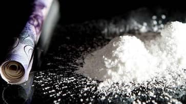 Maharashtra two brother arrested with 100 crore worth mephedrone ans Maharashtra two brother arrested with 100 crore worth mephedrone ans
