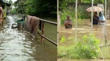 Just four days of rain; 90 lakhs damage 235 hectares of crops ppp Just four days of rain; 90 lakhs damage 235 hectares of crops ppp