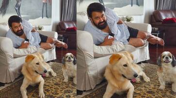 mohanlal poses with his pet dogs casper and whiskey viral pic nsn mohanlal poses with his pet dogs casper and whiskey viral pic nsn