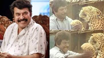 actor mahesh says mammootty fight with original tiger in Mrugaya movie nrn actor mahesh says mammootty fight with original tiger in Mrugaya movie nrn