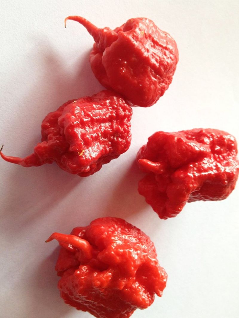 Pepper X New hottest chilli pepper on the