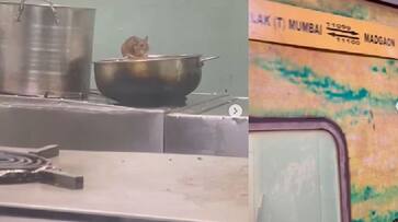 Rats Rolling on food at Madgaon Express pantry car, Passenger share video IRCTC responds akb Rats Rolling on food at Madgaon Express pantry car, Passenger share video IRCTC responds akb