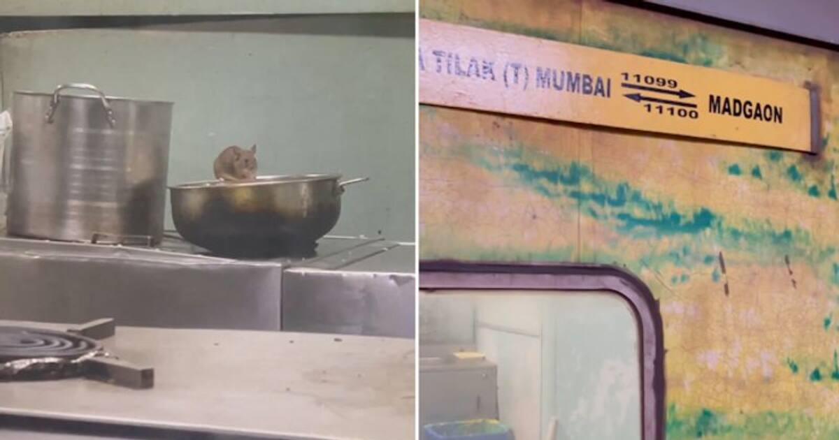 Shocking video reveals rat infestation in train pantry; railways reacts