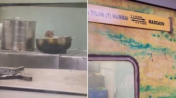 Shocking video reveals rat infestation in train pantry; railways reacts (WATCH) AJR Shocking video reveals rat infestation in train pantry; railways reacts (WATCH) AJR