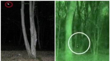 Interesting story and pictures of Hoia Baciu Forest prn Interesting story and pictures of Hoia Baciu Forest prn