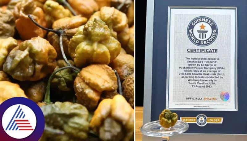 Pepper X is now worlds spiciest chilli pepper, here is all you need to know Vin