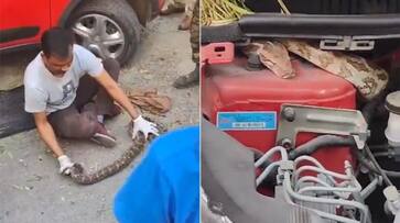 huge python found inside car in delhi hyp huge python found inside car in delhi hyp