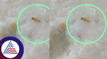 Cricket world cup 2023 Worm in the curd rice given to the cricket security police bengaluru rav Cricket world cup 2023 Worm in the curd rice given to the cricket security police bengaluru rav