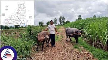 Karnataka government has issued an important order to clear farmer field road leading sat Karnataka government has issued an important order to clear farmer field road leading sat