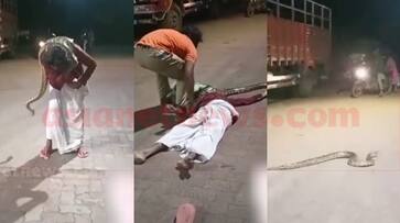 Kannur Python attack on drunk man kgn Kannur Python attack on drunk man kgn