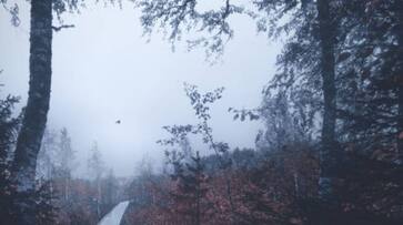 here is the reason why you feel depressed during autumn hyp here is the reason why you feel depressed during autumn hyp