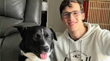 this dog alerted sleeping owners and saves their 17 year old son suffers stroke rlp this dog alerted sleeping owners and saves their 17 year old son suffers stroke rlp
