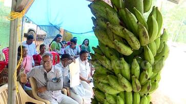 Banana sold for 49100 in protest auction against K Rail Silver line project at Kottayam Banana sold for 49100 in protest auction against K Rail Silver line project at Kottayam