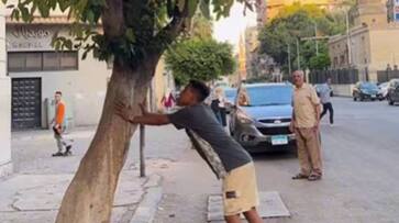 man collecting money from tree then this is happened rlp man collecting money from tree then this is happened rlp