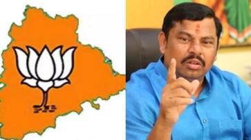 BJP seat for Rajasingh in telegana election who made vad remarks against Prophet BJP seat for Rajasingh in telegana election who made vad remarks against Prophet