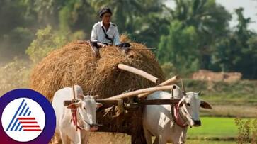 Blocking bullock cart path in field is illegal Govt instruction bengaluru rav Blocking bullock cart path in field is illegal Govt instruction bengaluru rav