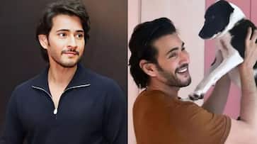 super Star Mahesh Babu New Look Viral In social Media JMS super Star Mahesh Babu New Look Viral In social Media JMS
