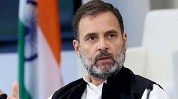 Rajasthan Elections party will fight together rahul gandhi Rajasthan Elections party will fight together rahul gandhi