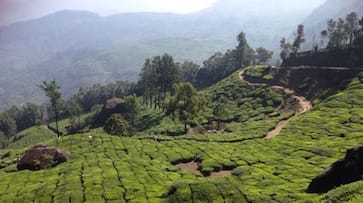 bison valley added to devikulam taluk joy bison valley added to devikulam taluk joy