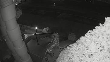 Spooky US restaurant claims ghost triggered its motion detector alarms; shares video WATCH snt Spooky US restaurant claims ghost triggered its motion detector alarms; shares video WATCH snt