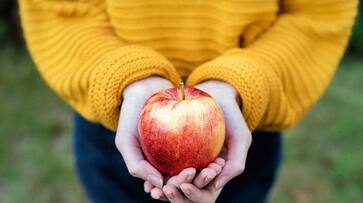 foods with more fiber than an apple azn foods with more fiber than an apple azn