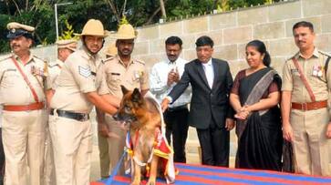 police dog named tippu retired after ten years of service in chikkamagaluru gvd police dog named tippu retired after ten years of service in chikkamagaluru gvd
