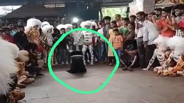 Man Injured while Performing Tiger Dance at Mangaluru Mangala Devi Temple grg Man Injured while Performing Tiger Dance at Mangaluru Mangala Devi Temple grg