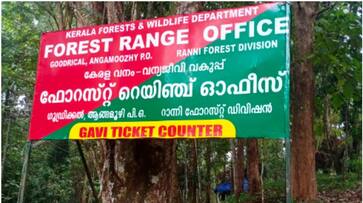 gavi forest watcher suicide threat joy gavi forest watcher suicide threat joy