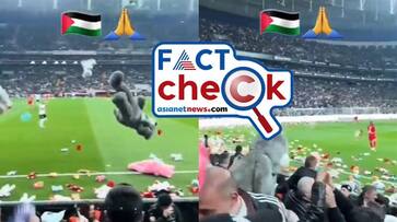 Stuffed toys thrown at soccer match to help Palestine children here is the truth jje Stuffed toys thrown at soccer match to help Palestine children here is the truth jje