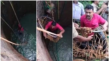 young man who fell into a 25 feet deep well was rescued btb young man who fell into a 25 feet deep well was rescued btb