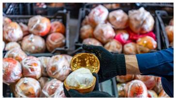 900000 captagon pills seized from pomegranates in saudi rvn 900000 captagon pills seized from pomegranates in saudi rvn